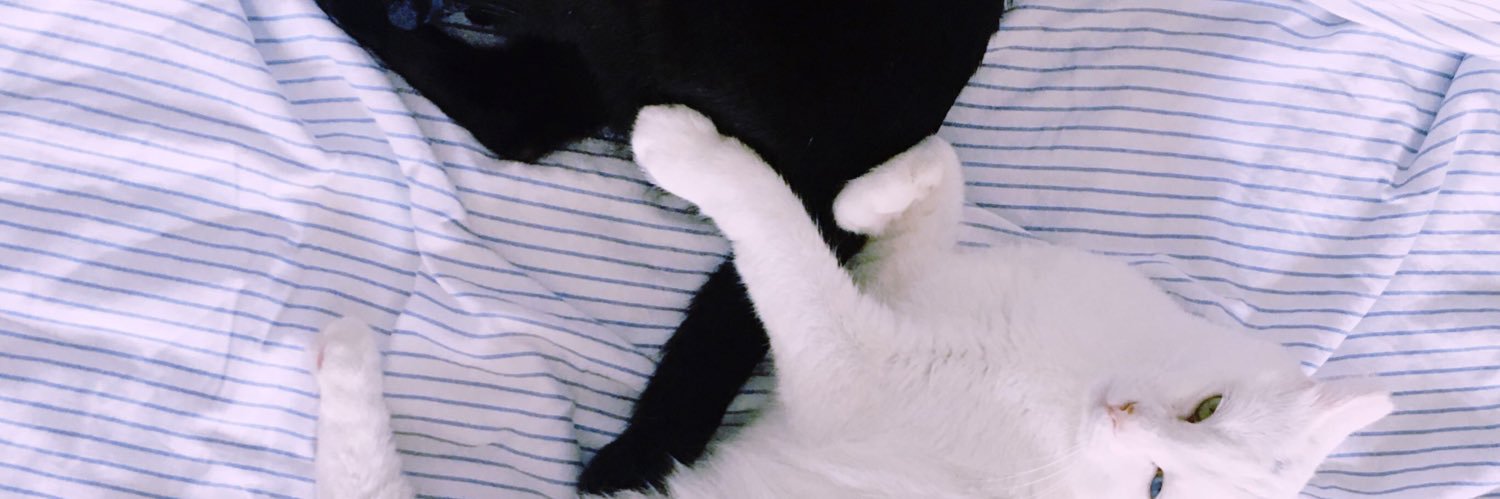 Miaaow_'s profile banner image