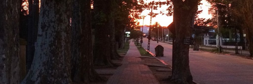 TheMigueP's profile banner image