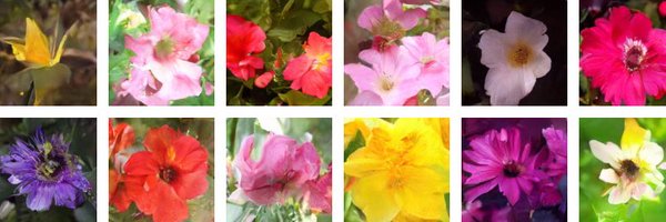 jafermarq Profile Banner