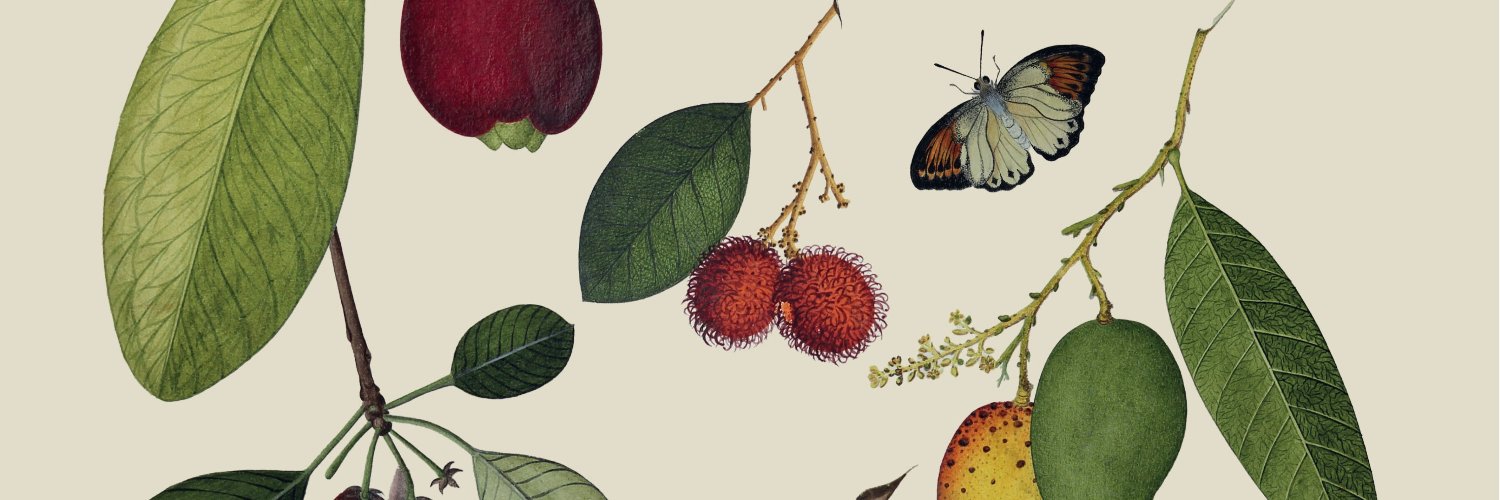 TrevanionGB's profile banner image
