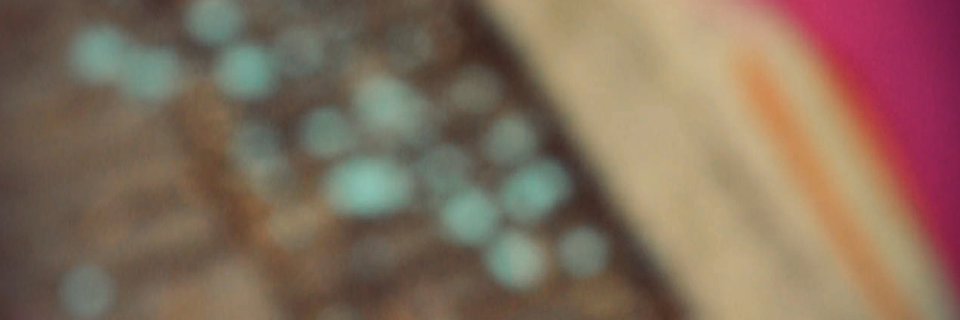 ProyectoINDIANA's profile banner image