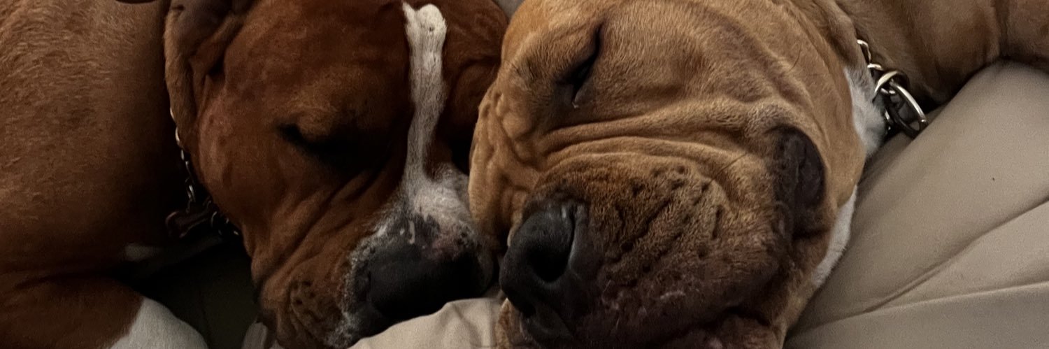 FrankGuzmanJr's profile banner image