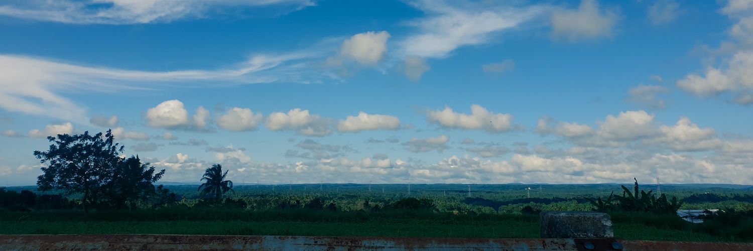 nftoliks's profile banner image