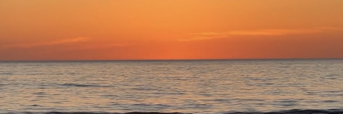 dafinaha's profile banner image