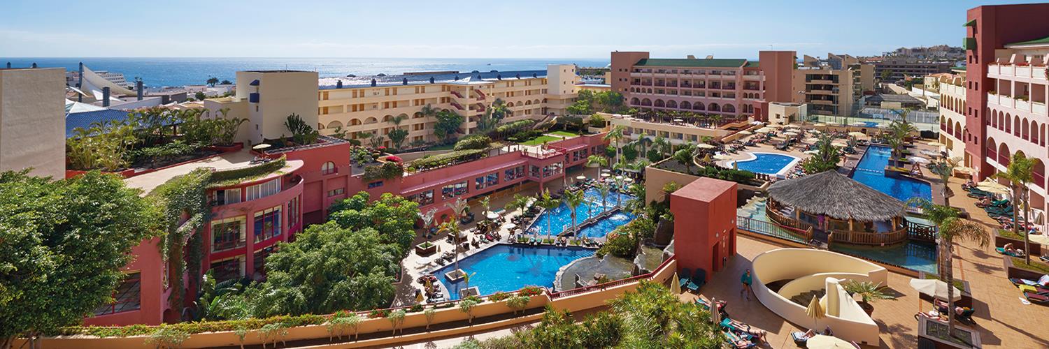 Best Jacaranda banner