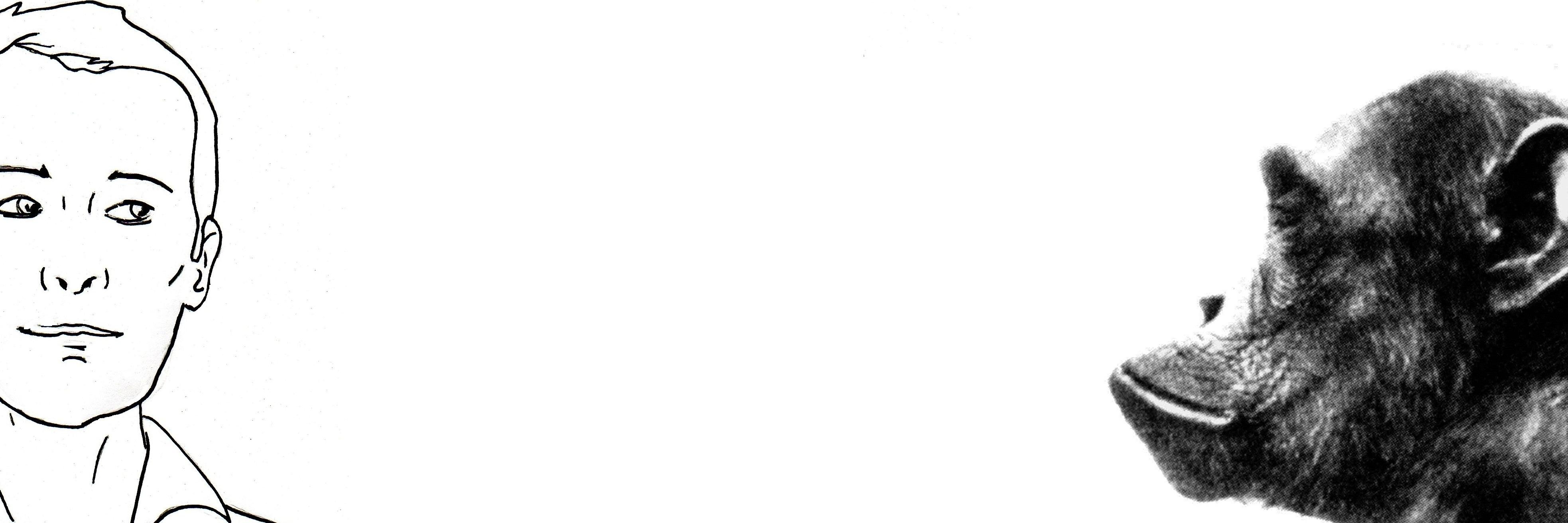 MxSchrm's profile banner image