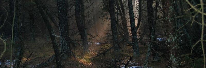 Undepend's profile banner image