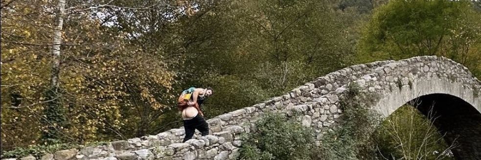 All About Reve banner