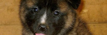 dr_cc_alford's profile banner image