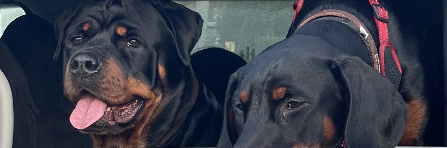 ediwawerzz's profile banner image