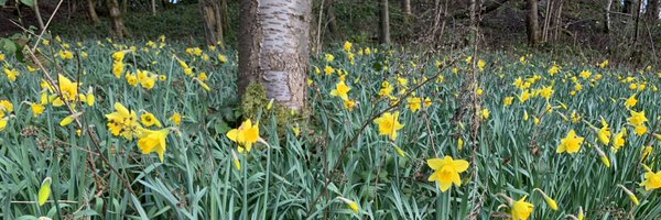 Vinishreee Profile Banner