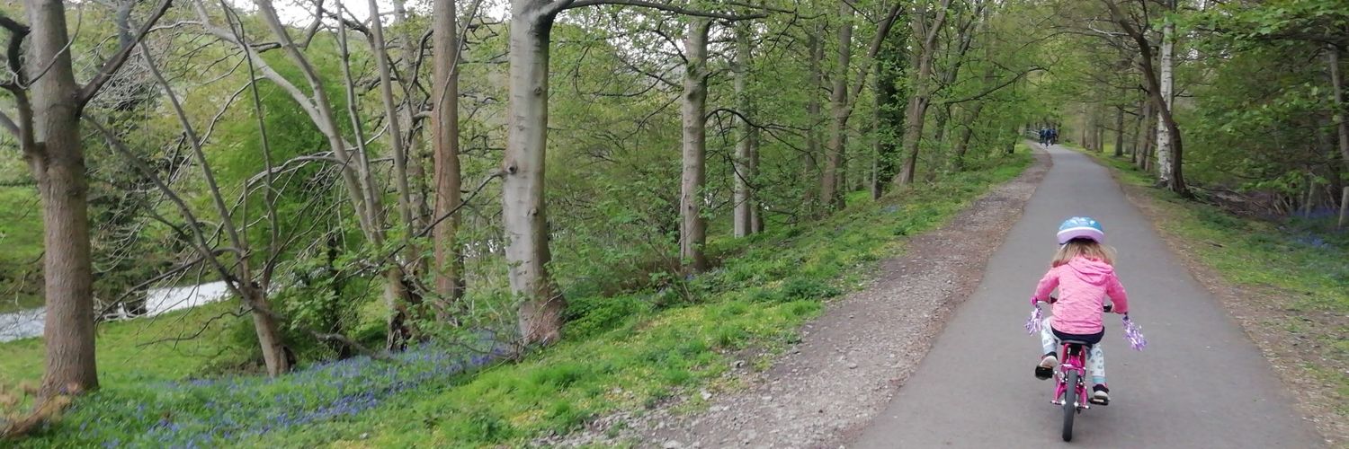 ddujde's profile banner image
