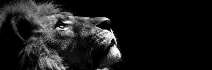 AlexSchlosserr's profile banner image