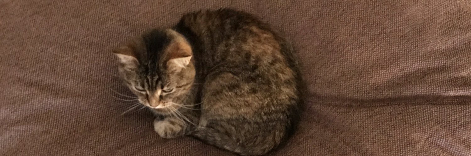 😺😸⚫️🔴🌕 banner