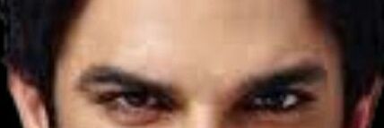 Boycott MURDERwood 4SSR banner