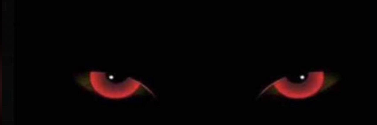 ur_sneakersplug's profile banner image