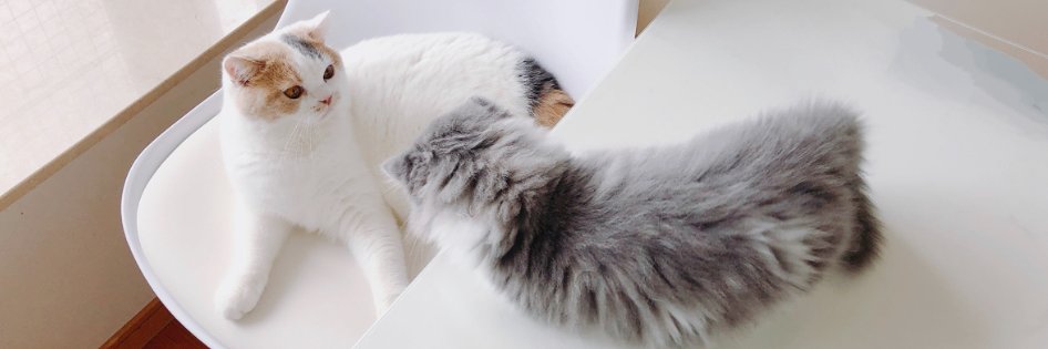 karanyanko's profile banner image