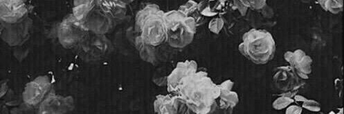 alevkrmzi's profile banner image
