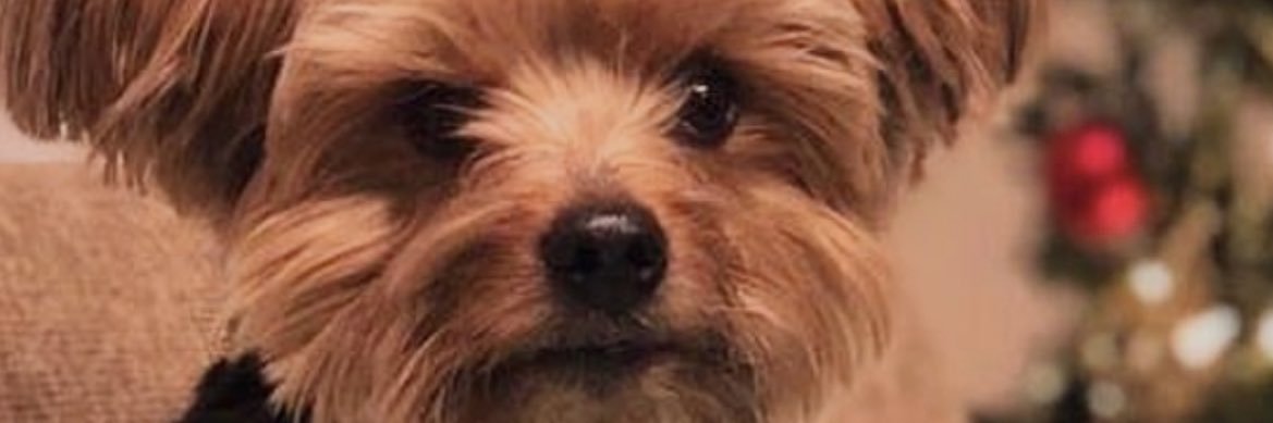 planetmarzs's profile banner image