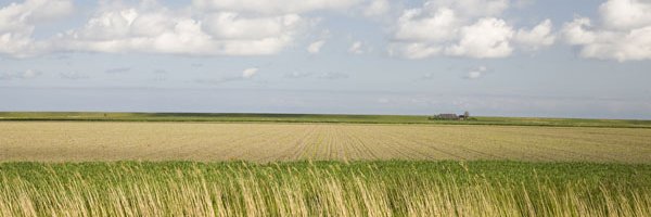 Jan-Willem Lobeek banner