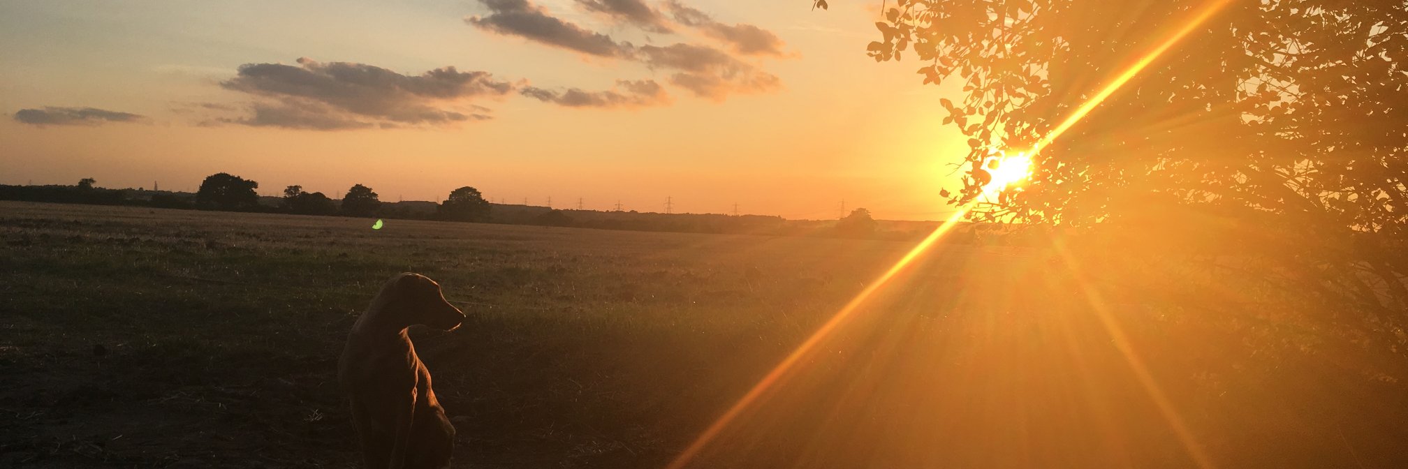ABreathFreshAir's profile banner image