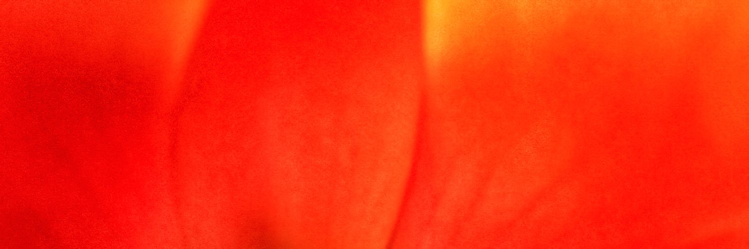 lowlynx's profile banner image