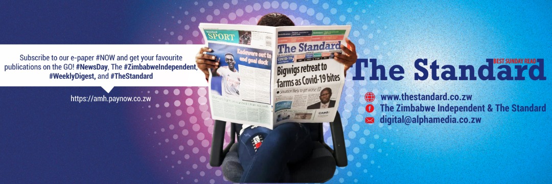 The Standard Zim's banner