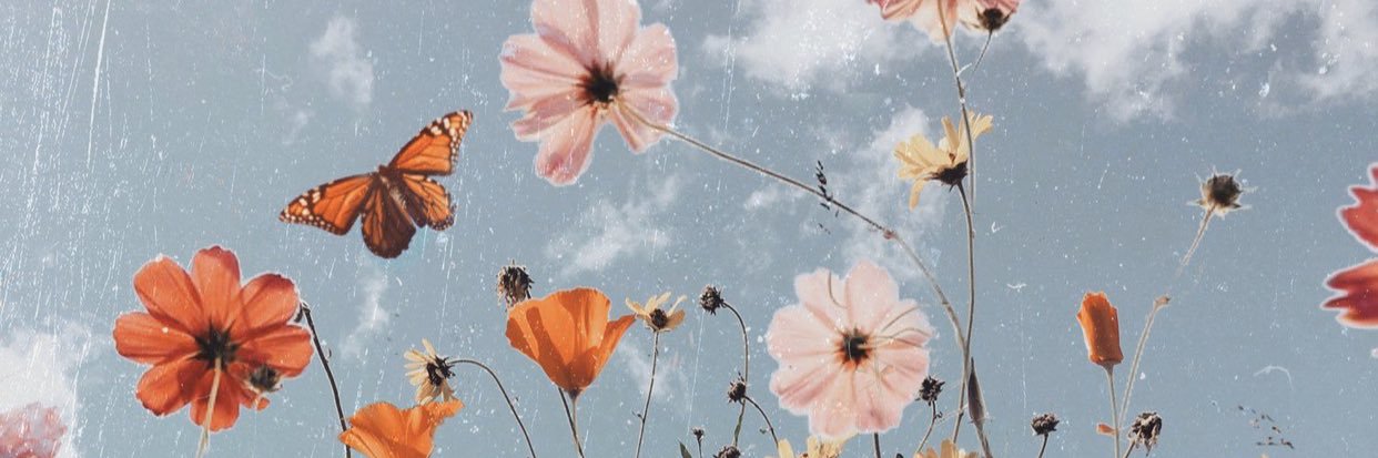 madison_wright1's profile banner image