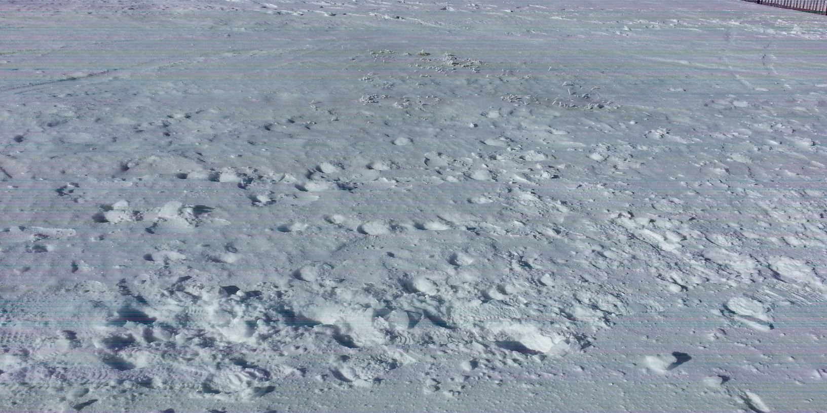 skiandnight's profile banner image