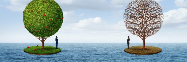 nbstme's profile banner image