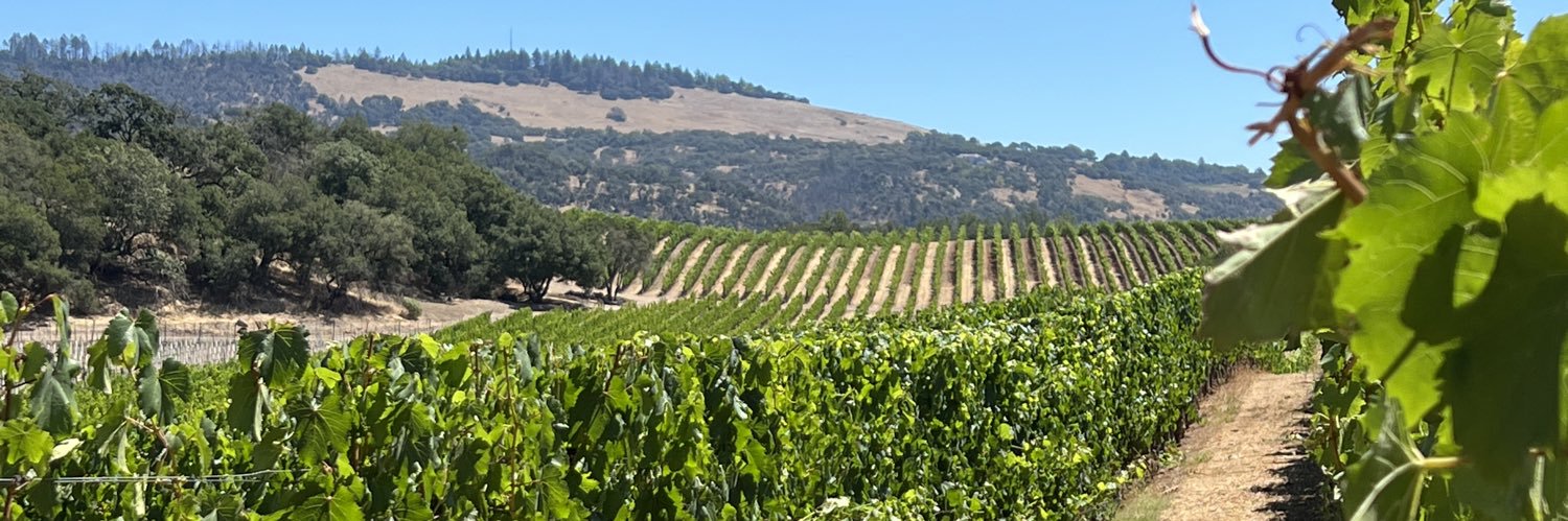 David Schmidt banner