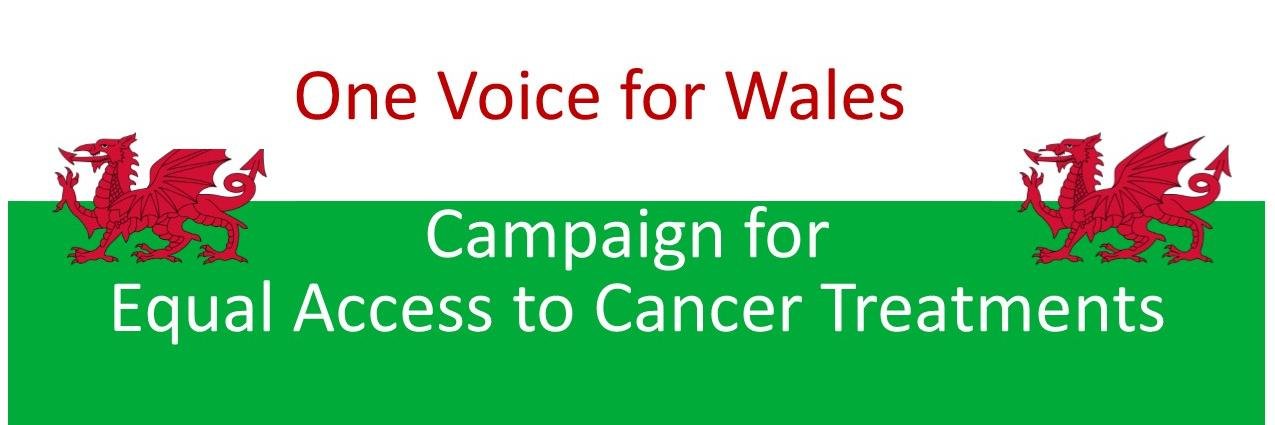 1VoiceForWales's profile banner image
