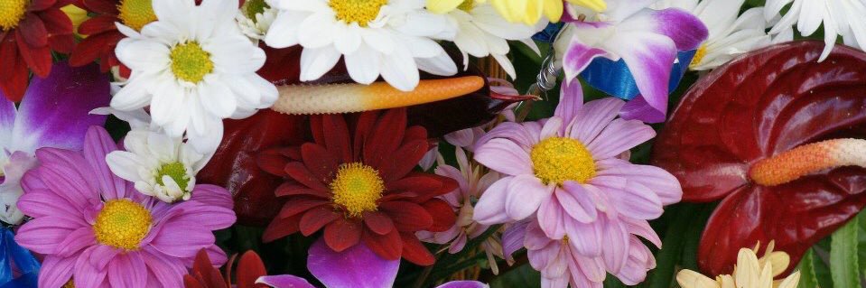 casey8926's profile banner image