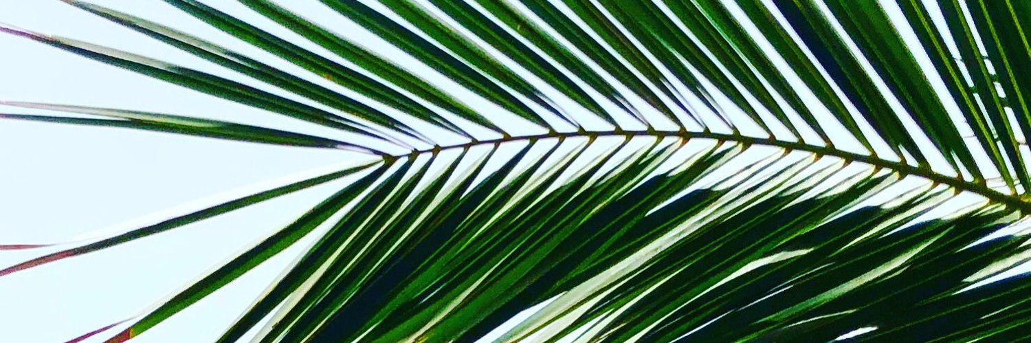 ᕱστᕱ νᕱ πᕱνε  ♐️ banner