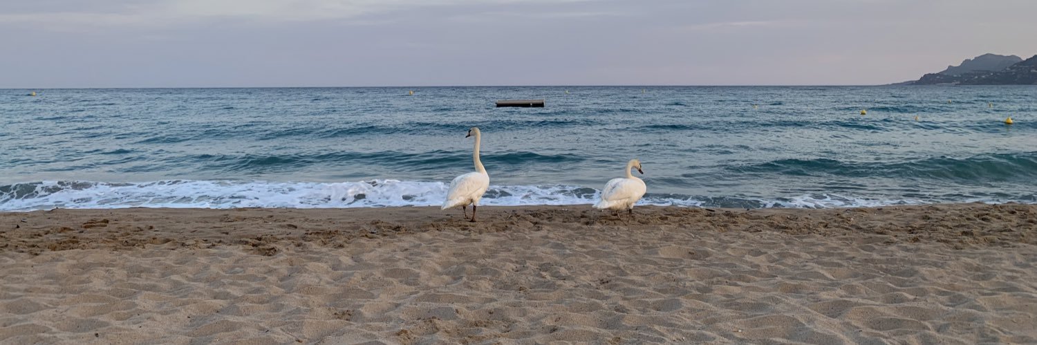 gpadillas01's profile banner image