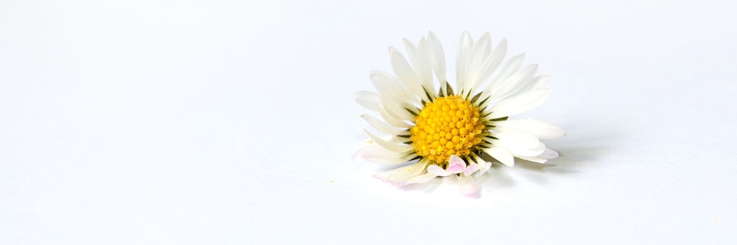 dispersedwords's profile banner image