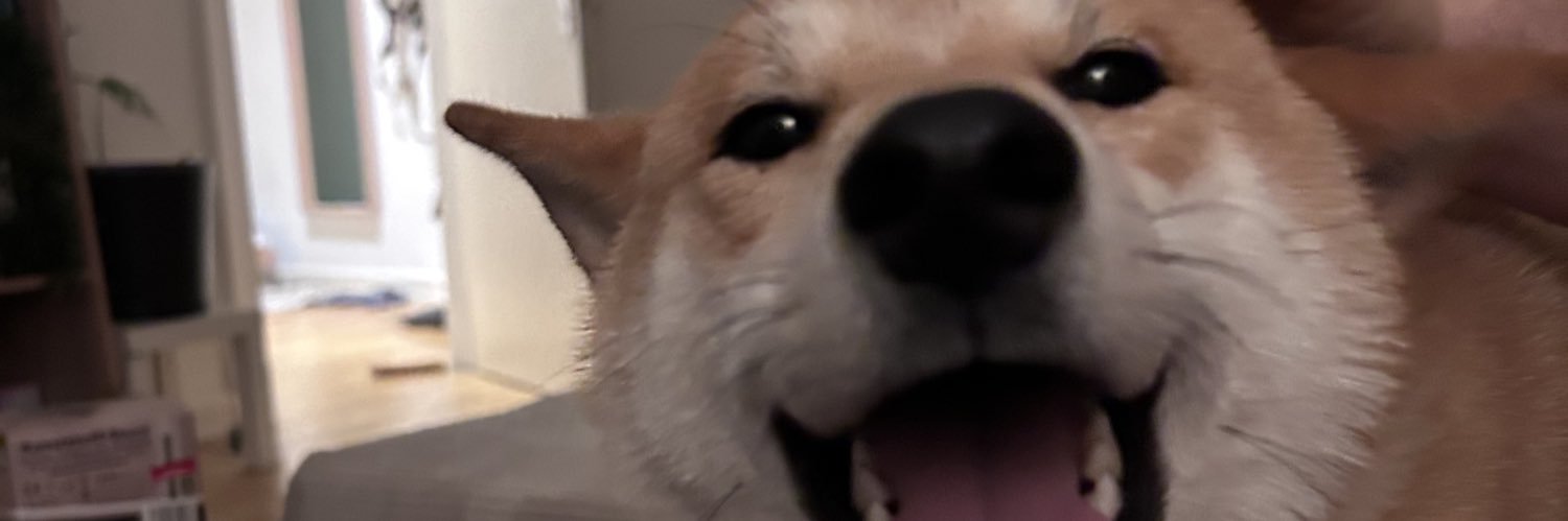 owotist's profile banner image