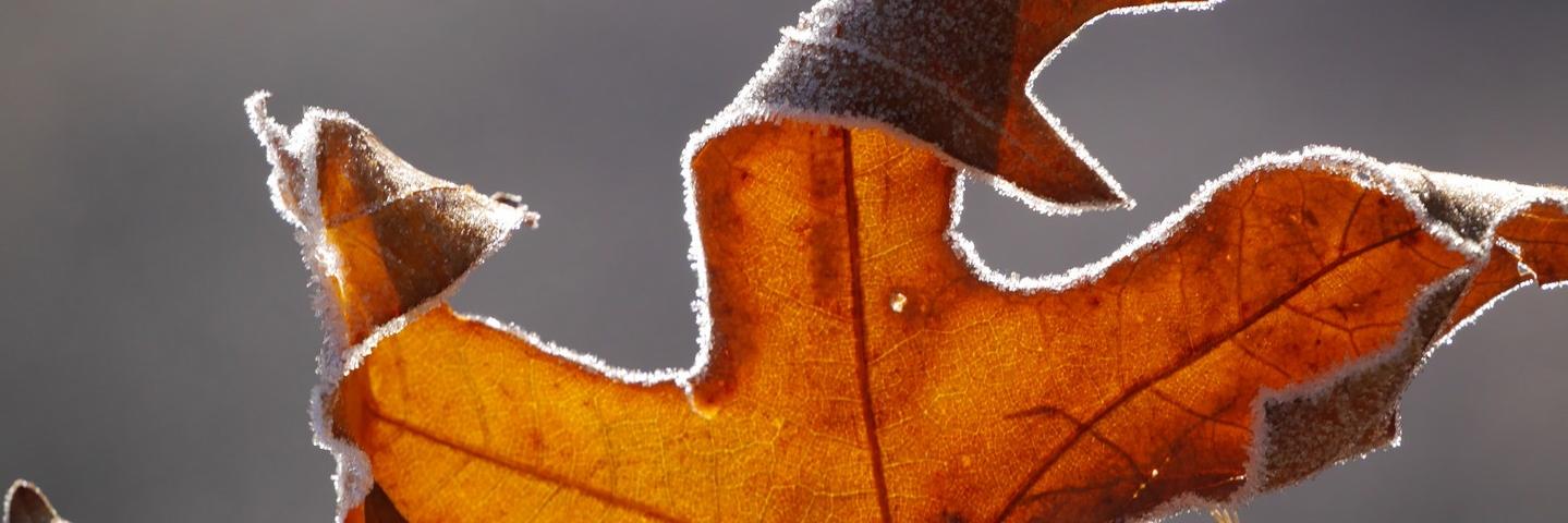 Teacherwishy's profile banner image