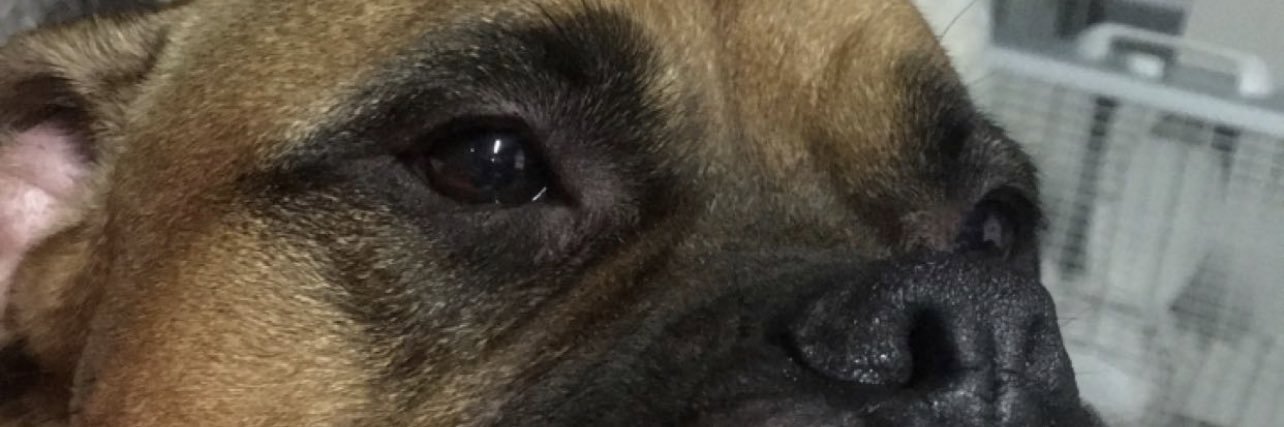 _maattti's profile banner image