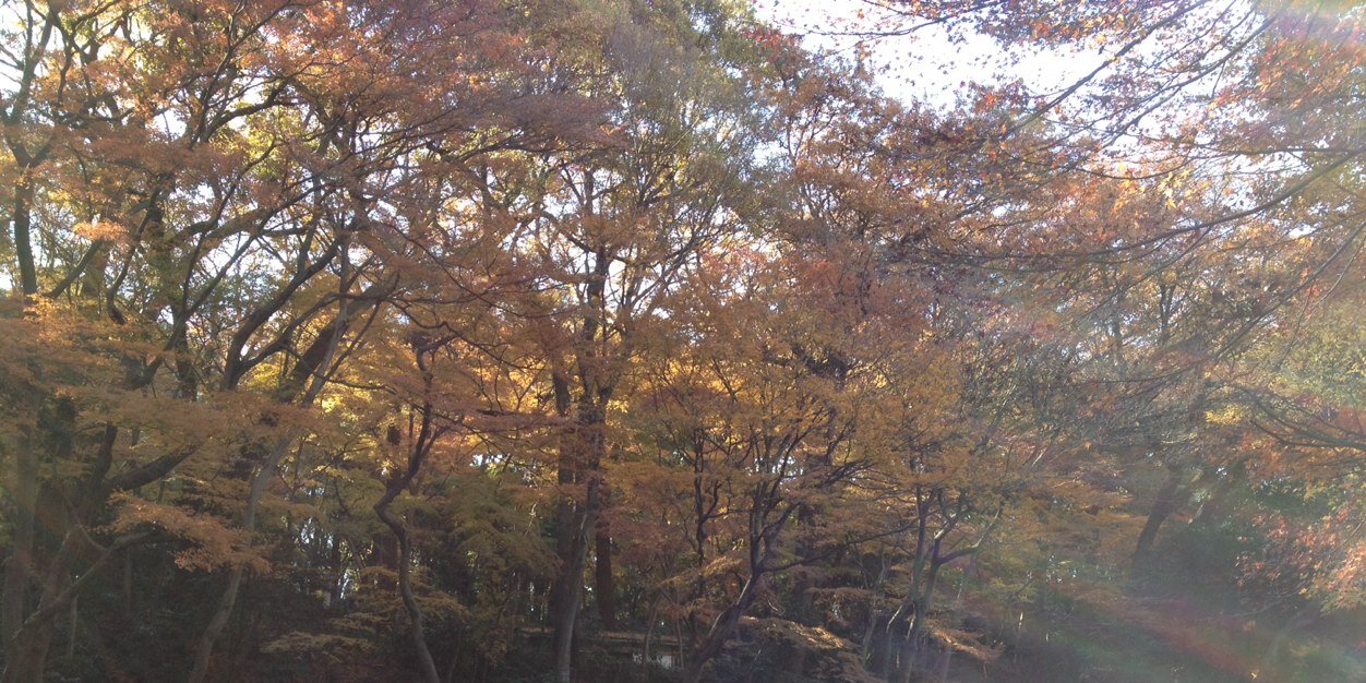 kenta_8's profile banner image