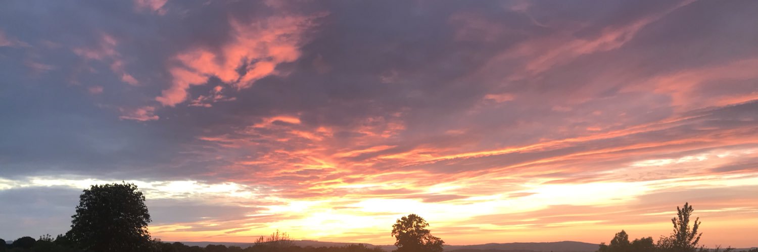 EvePJRobinson's profile banner image