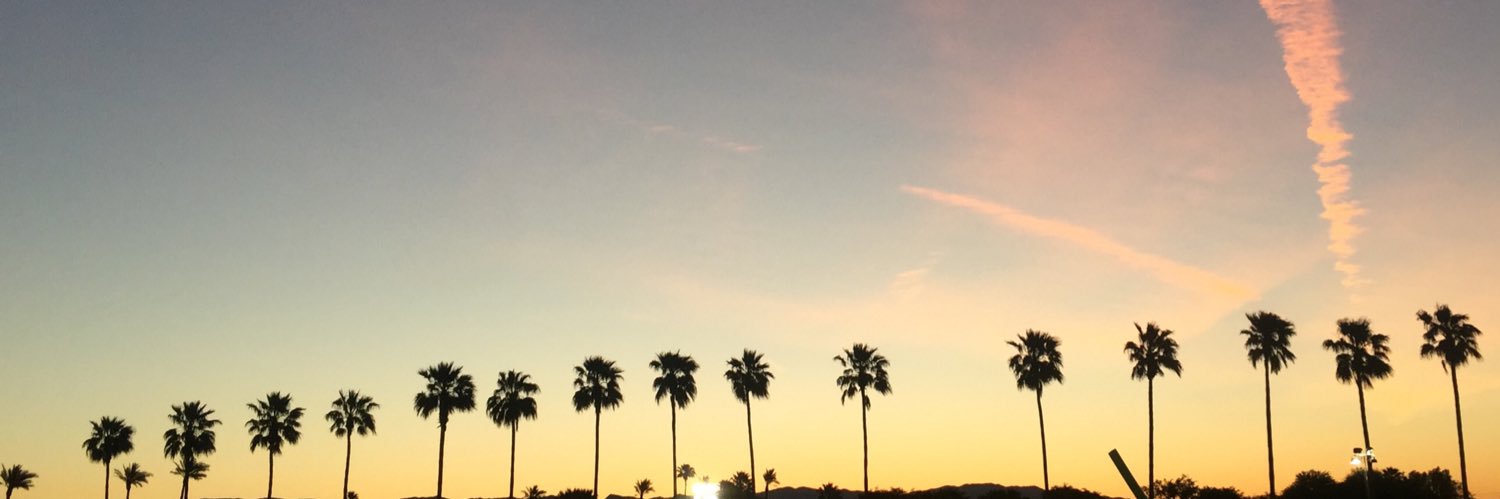 IsNotRealOrHere's profile banner image