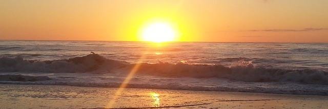 Deniz Mckelvy banner