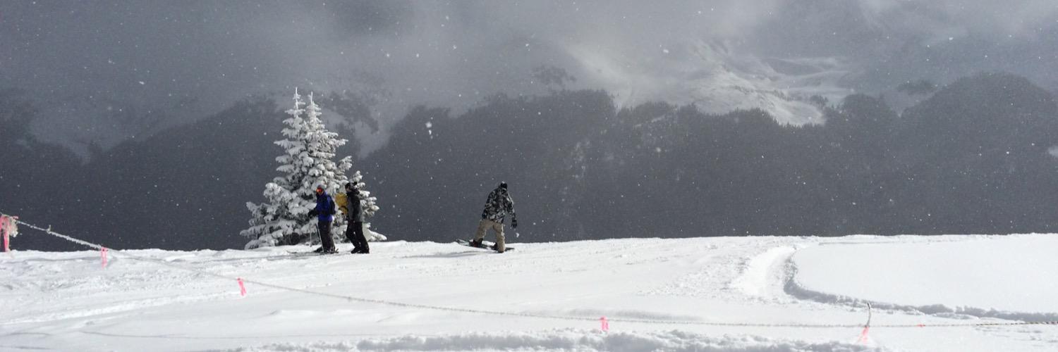 Michael Miller banner