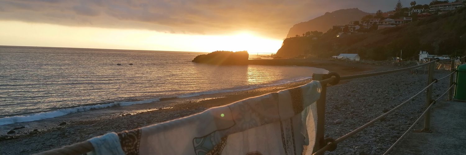 martacardos0's profile banner image