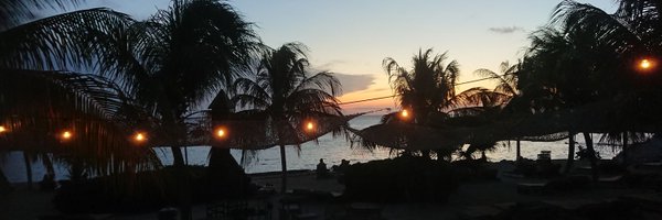 PhDToothFAIRy Profile Banner