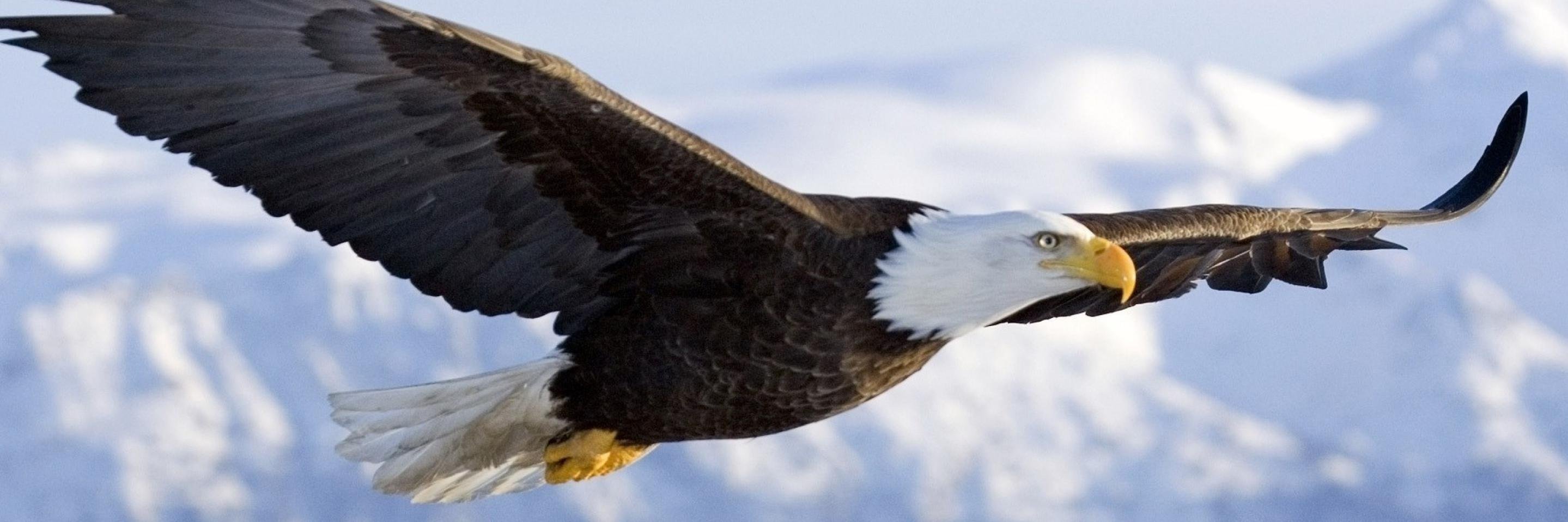 LiamW_APGov's profile banner image