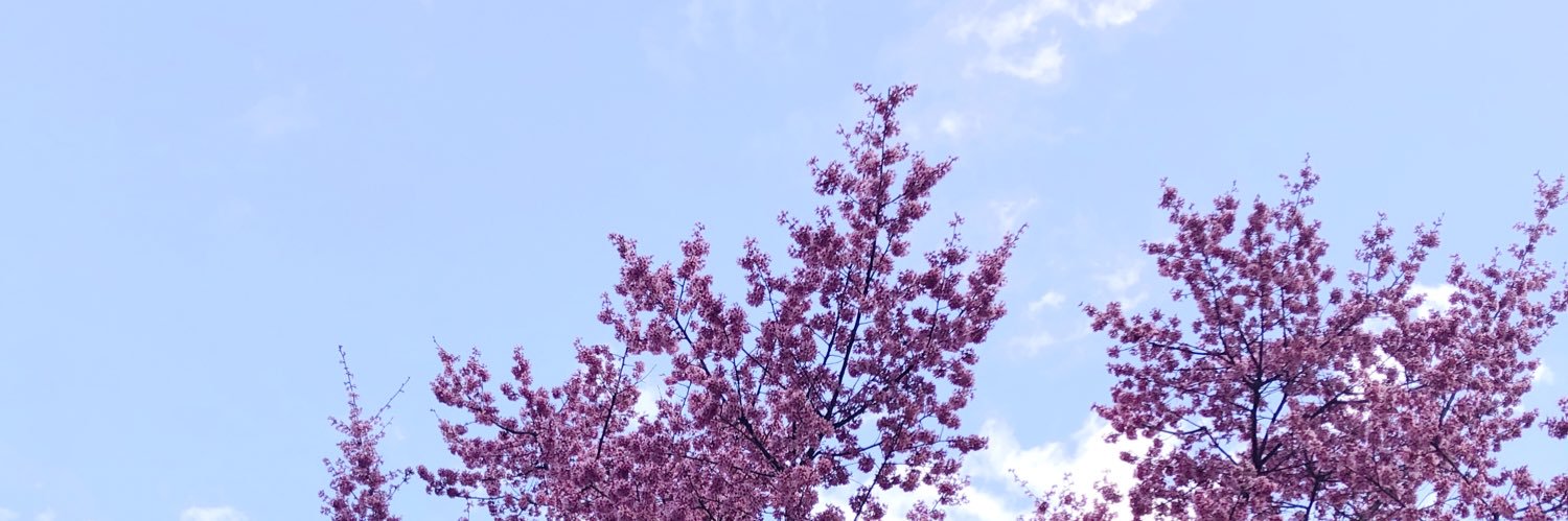 Annabelle Tseng banner