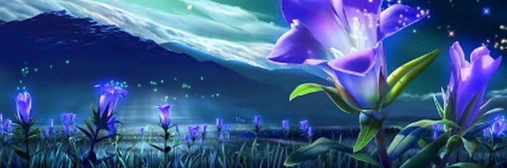 adel_bejaia's profile banner image