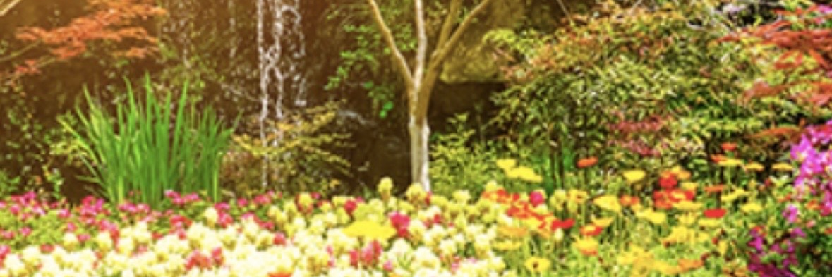 queretere's profile banner image